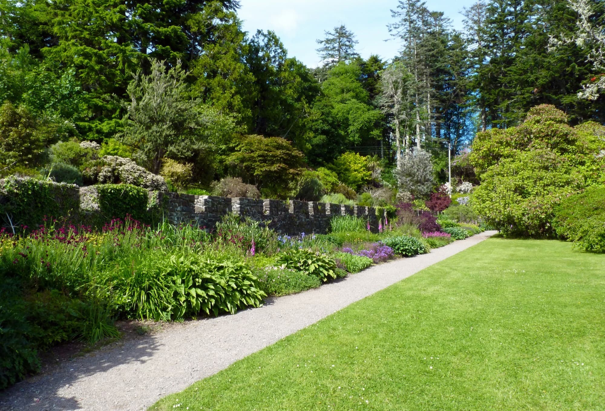 A landscaped garden